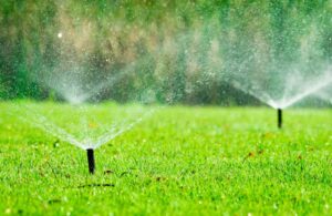 Water Conservation Artificial Grass